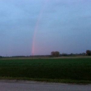 Meet your Posher, Ann